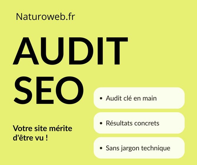 prix audit seo site web